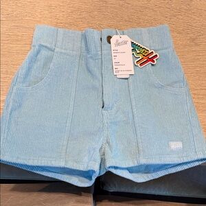 Powder Blue Blue Corduroy Shorts